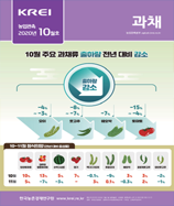 관측정보