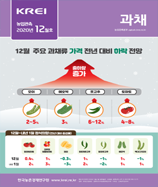 관측정보