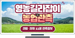 [영농길라잡이 농업관측] 과일, 과채 11월 관측