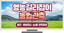 [영농길라잡이 농업관측] 엽근채소, 양념채소 12월 관측