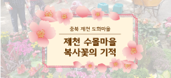 레클리스협동조합