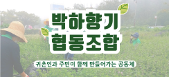 레클리스협동조합