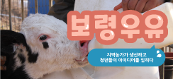 보령우유
