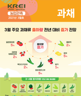 관측정보