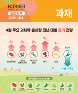 관측정보