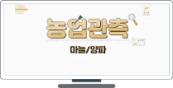 [KREI 농업관측] 마늘양파 최근 산지동향(2021.04.19)