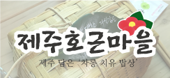 한빛스쿨팜