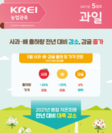 관측정보