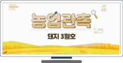 [KREI 축산관측] 돼지관측 2021년3월
