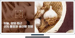 [KREI농업관측] 마늘양파 최근 산지동향(2021.05.13)