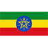 Africa partners ethiopia mark