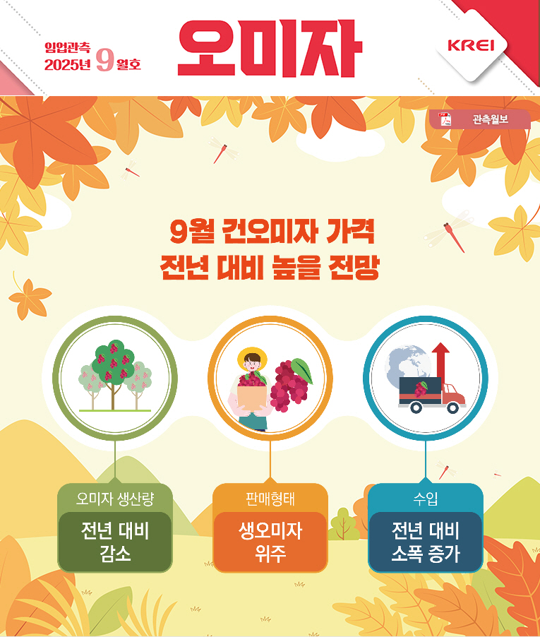 오미자월보표지