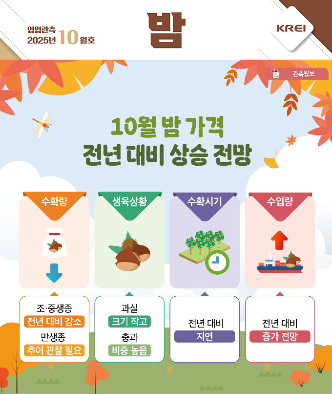 밤월보표지