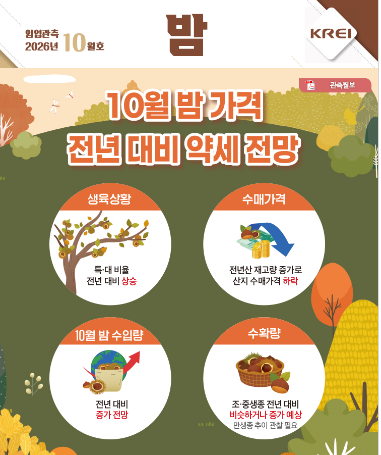 밤월보표지