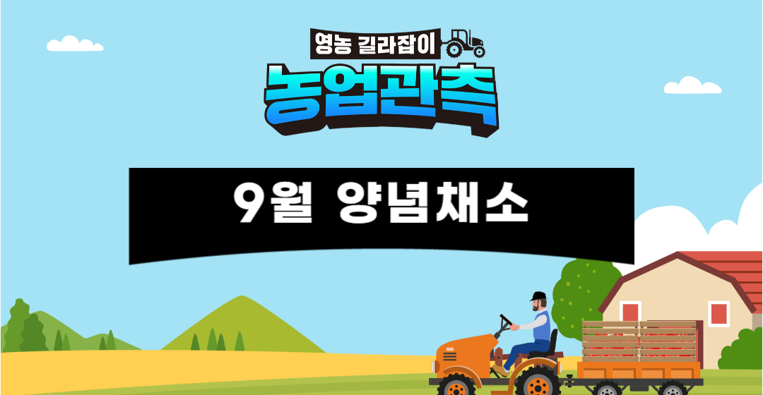미디어 썸네일