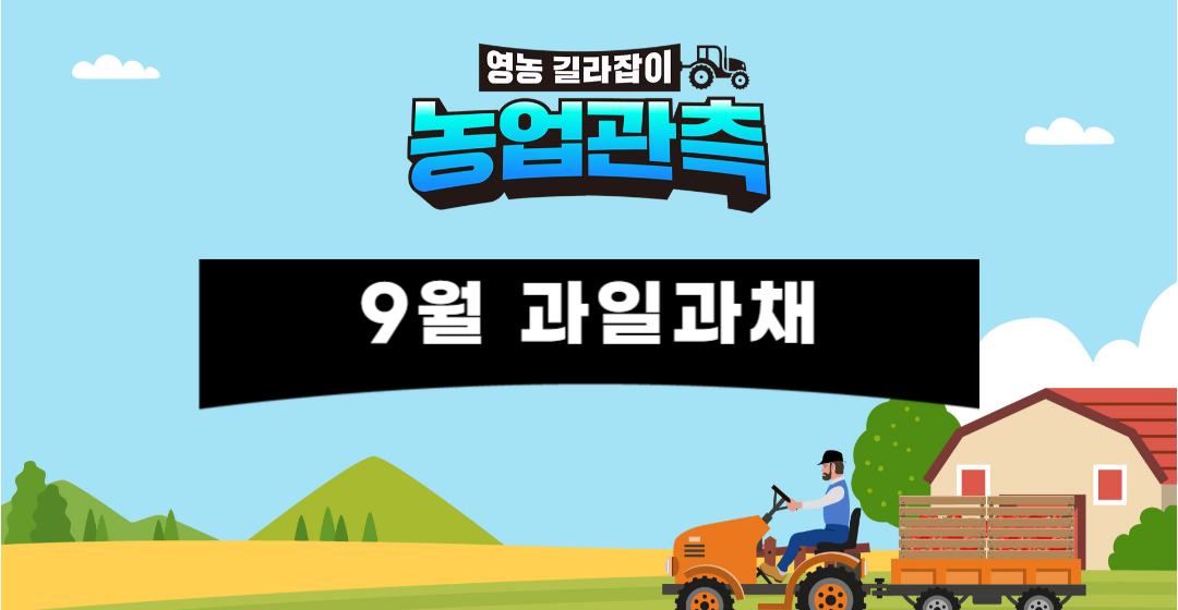 미디어 썸네일